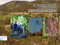"Il fronte di Vaia" Escursione guidata serale - Mezzaselva, 16 luglio 2024