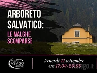 M04 arboreto selvatico 11 09 26