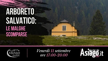 M04 arboreto selvatico 11 09 26