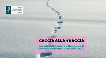 Caccia alla Traccia: gioca escursione per famiglie con il Museo Naturalistico di Asiago - 26 dicembre 2022