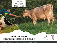 "Baby Trekking sul Monte Zovetto" escursione e giochi - Cesuna, domenica 14 settembre 2025