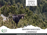 Sentieri Nascosti: l'Arsenale | Domenica 10 agosto 2025 dalle 9.30