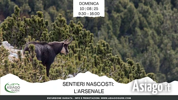 E10 Sentieri Nascosti l'Arsenale (inedito)
