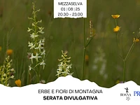 Serata divulgativa "Erbe e fiori di montagna" con Asiago Guide - Mezzaselva, venerdì 1° agosto 2025 
