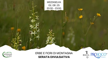 Serata divulgativa Erbe e fiori di montagna a Mezzaselva con Asiago Guide