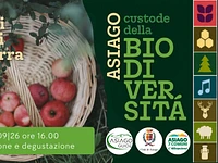 A08 Dai fiori ai frutti della terra 12 09 26