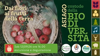 A08 Dai fiori ai frutti della terra 12 09 26