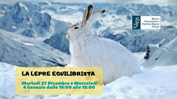 La lepre equilibrista: laboratorio per bambini al Museo Naturalistico di Asiago - 27 dicembre 2022