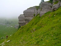 Historischer Naturausflug "MALGA LEMERLE, ein Blick auf den MONTE FIOR" in Gallio - 2. Juli 2024