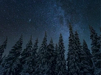 Klänge von Stars und Männern - Piana di Vezzena, Samstag, 3. Januar (17.00-20.30 Uhr)