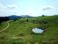 Geführte Wanderung "Die Malga Lemerle und der Blick auf den Monte Fior" - Gallio, Donnerstag 17 Juli 2025