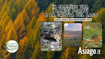 escursione tra i larici dorati sull'Altopiano di Asiago
