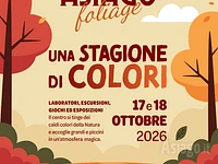 Asiago Foliage 2026
