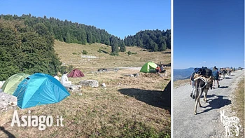 Trekking con gli asini sull'Altopiano di Asiago