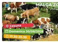 Escursione con "Visita e aperitivo a Malga Zovetto" - Cesuna, domenica 30 agosto 2026