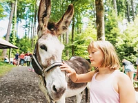 Baby trekking con gli asini a tresche conca