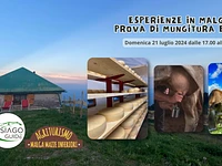 Esperienze in Malga: prova di mungitura e cena a Malga Mazze - Domenica 21 luglio 2024 dalle 17.00 