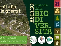 A04 Dai pascoli alla lana delle greggi 18 07 26