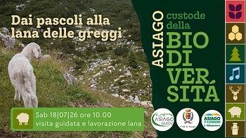 A04 Dai pascoli alla lana delle greggi 18 07 26