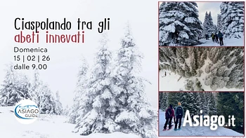 w45 ciaspolando tra gli abeti innevati 15 02 26