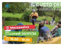 "Il gusto dei prati" esperienza in fattoria didattica - Mezzaselva, lunedì 20 luglio 2026