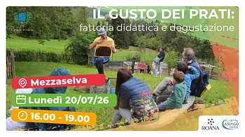 Il gusto dei prati esperienza in fattoria didattica e degustazione con Asiago Guide 20 luglio 2026
