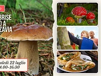 E05 Andar per funghi d