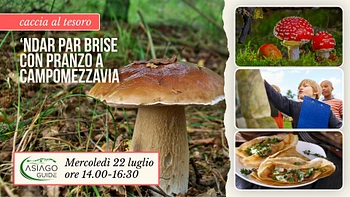 E05 Andar per funghi d'estate con pranzo a Campomezzavia 22 07 26mod