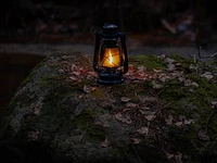 "Mezzaselva a lume di candela" escursione guidata serale - giovedì 24 agosto 2023