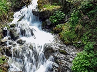 "Gallium-Wasser. Geführte Exkursion von den 500 bis zum Ersten Weltkrieg - Gallio, 4. August 2025