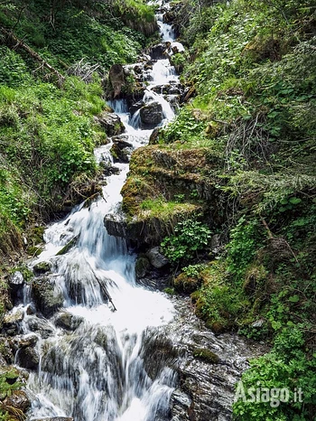 Escursione L'acqua di Gallio con Il Fauno