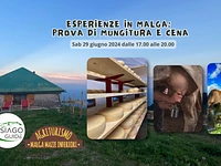 Esperienze in Malga: prova di mungitura e cena - Sabato 29 giugno 2024 dalle 17.00