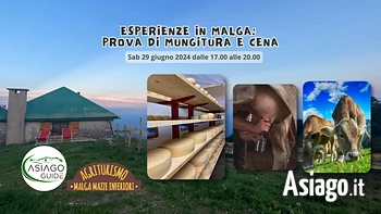 Mazze giugno