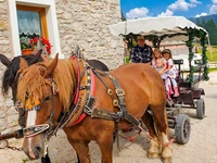 Carriage rides at Rifugio Campolongo - from 29 July to 17 September 2023