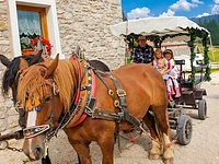 Kutschfahrten im Rifugio Campolongo - vom 29. Juli bis 17. September 2023