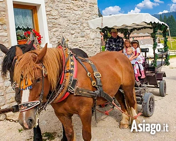 Giri in carrozza a Campolongo