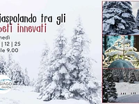 W03 Ciaspolando tra gli abeti innevati 08 12 25