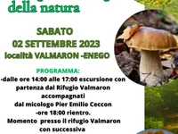 "Mushrooms: wonders of nature" excursion and dinner - Enego, 2 September 2023