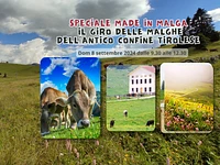  Il Giro delle Malghe dell’antico confine tirolese - Dom 8 settembre 2024 dalle 9.30