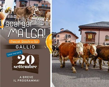 SCARGAR MALGA 2025 festa della transumanza a Gallio