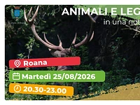 Escursione "Animali e leggende in una notte d'estate" - Roana, martedì 25 agosto 2026