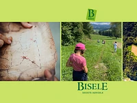 Caccia al tesoro alla Biofattoria Bisele | + 7 anni | Lunedì 12 agosto 2024 dalle 16.00 
