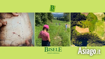 Caccia al tesoro bisele