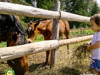 Bimba con cavalli a Il Cason delle Meraviglie