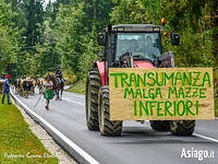 The transhumance of Malga Mazze Inferiore - Sunday 1 October 2023