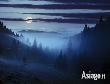 Escursione guidata notturna nei boschi dell'Altopiano di Asiago