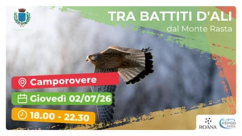 Tra battiti d ali dal Monte Rasta escursione con Asiago Guide 2 luglio 2026