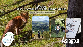 Mario rigoni