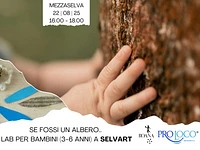 Laboratorio in natura per bambini "SE FOSSI UN ALBERO..." a SelvArt - Mezzaselva, venerdì 22 agosto 2025 
