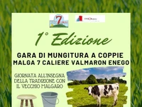 "PAIRS MILKING COMPETITION" AT MALGA 7 CALIERE 1° LOTTO VALMARON - Enego, 11 AUGUST 2023